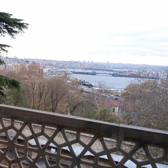 Meet your Posher, Sehrish - Picture 1 of 1